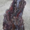 Jasper - Image 2