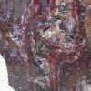 Jasper - Image 6