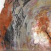 Fossil wood - Image 6