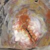Fossil wood - Image 5