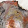 Fossil wood - Image 4
