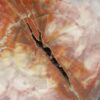 Fossil wood - Image 3