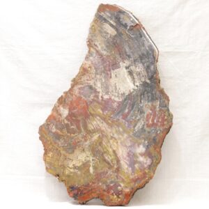 Petrified wood
