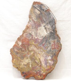 Petrified wood