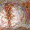 Petrified wood - Image 4