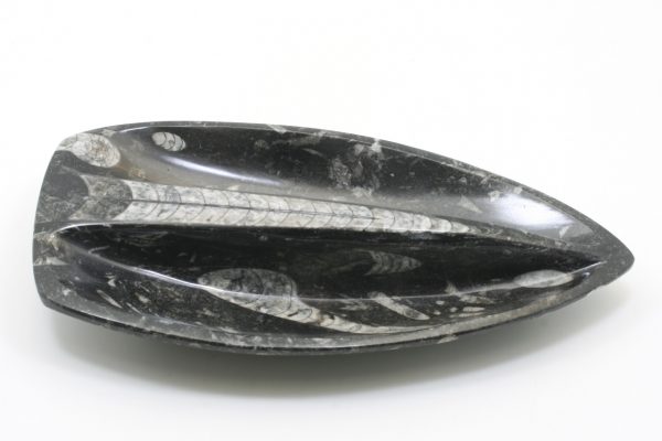 Miska se zkamenělinami - Image 7