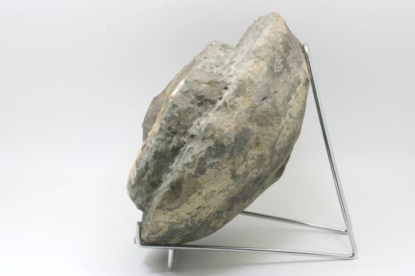 Amonit - Image 2