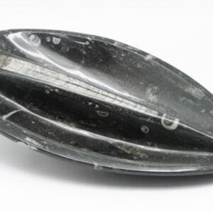 Stone bowl with fossils