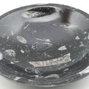 Stone bowl wit fossils