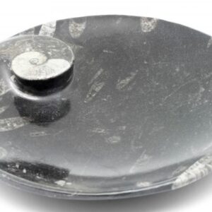 Stone bowl with fossils