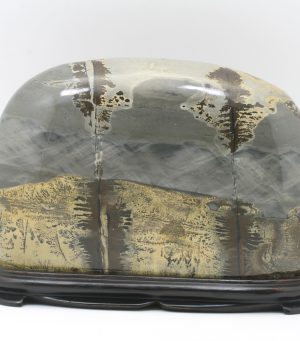 Porcelanite