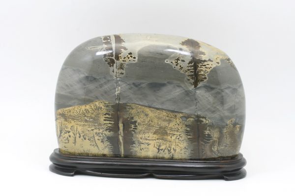 Porcelanite