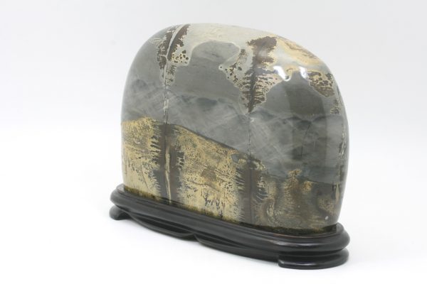 Porcelanite - Image 2