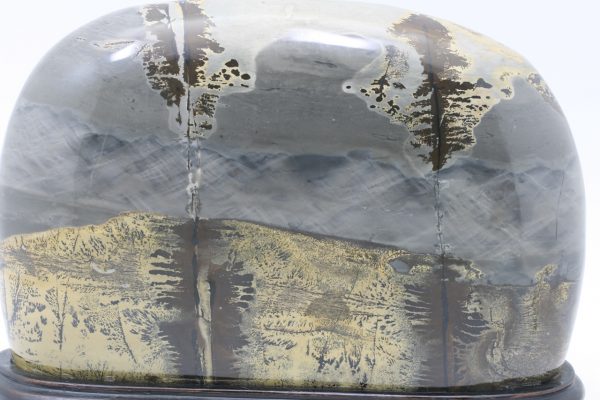 Porcelanite - Image 6