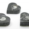 Jewelry box with fossils - Image 7