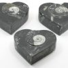 Jewelry box with fossils - Image 9