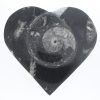 Jewelry box with fossils - Image 4