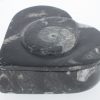 Jewelry box with fossils - Image 3