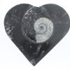Jewelry box with fossils - Image 6