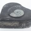 Jewelry box with fossils - Image 5
