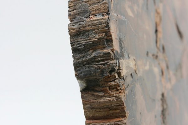 Petrified wood - Image 6