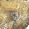 Petrified wood - Image 4