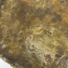 Petrified wood - Image 5