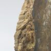 Petrified wood - Image 7