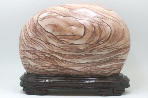 Jasper - Image 5