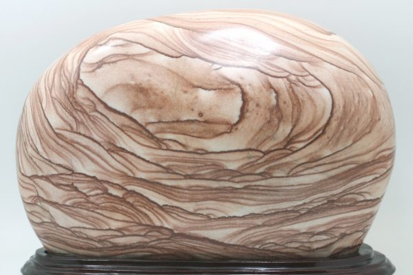Jasper - Image 6