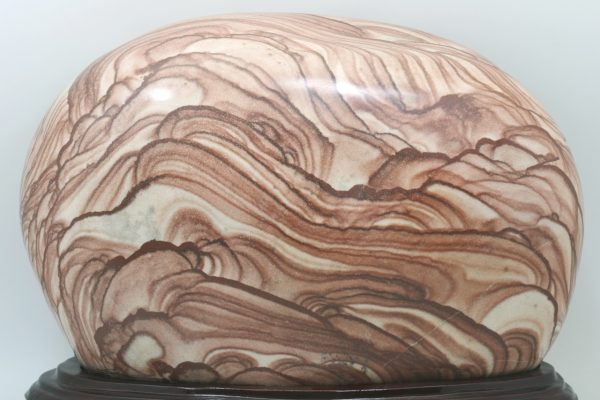 Jasper - Image 9