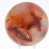 Carlnelian sphere - Image 5