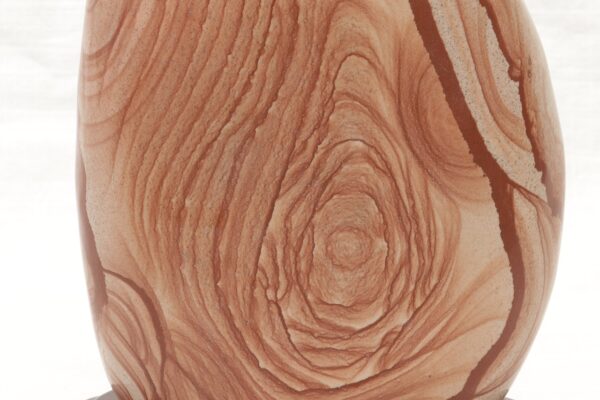 Jasper - Image 6