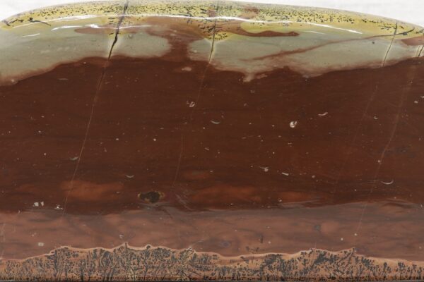 Porcelanite - Image 6