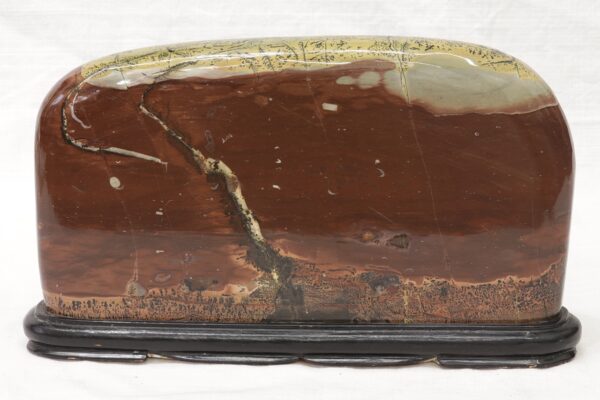 Porcelanite - Image 5