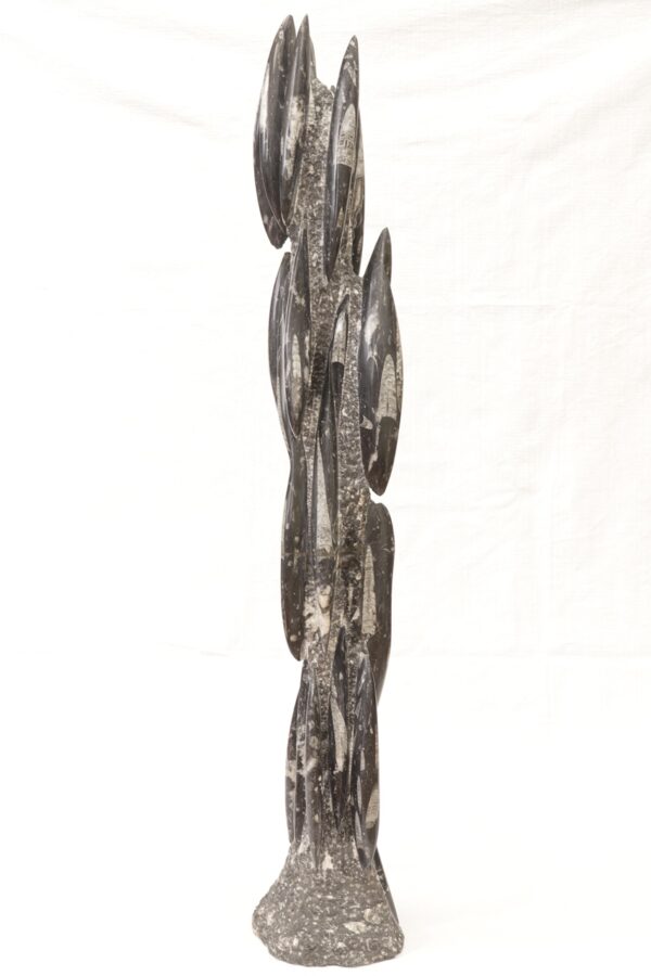 Orthoceras tower - Image 2