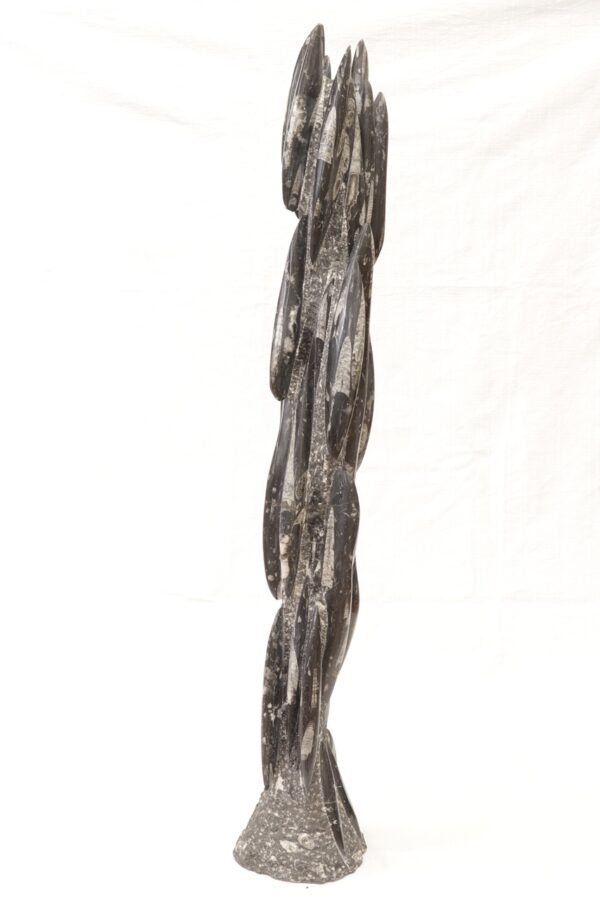 Orthoceras tower - Image 3