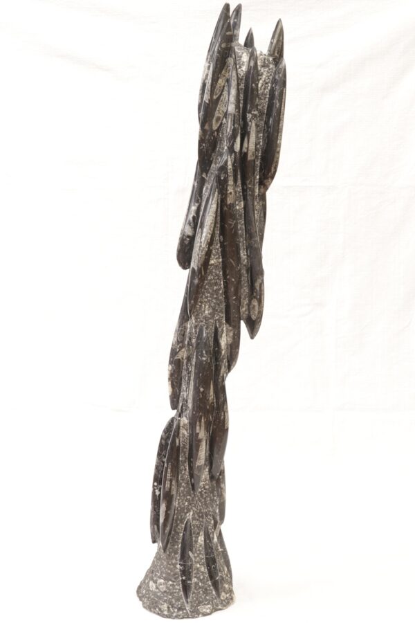 Orthoceras tower - Image 4