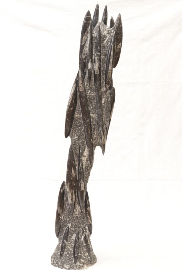 Orthoceras tower - Image 5