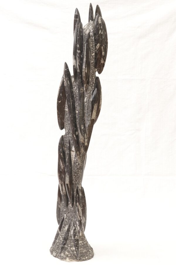 Orthoceras tower - Image 6