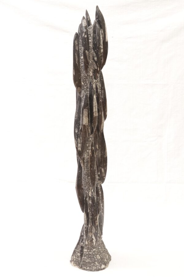 Orthoceras tower - Image 7