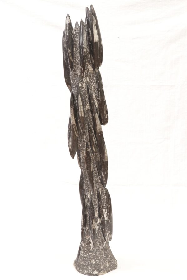 Orthoceras tower - Image 8