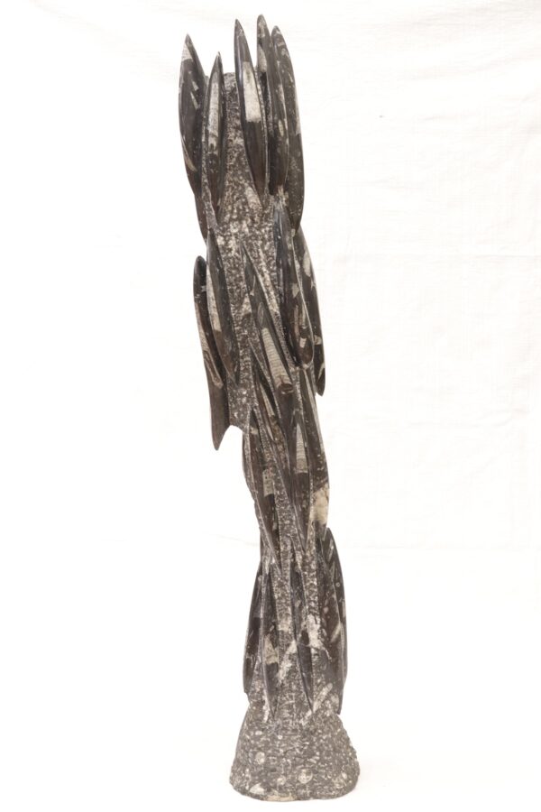 Orthoceras tower - Image 9