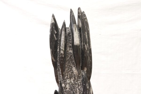 Orthoceras tower - Image 10