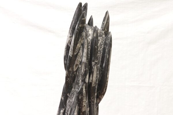Orthoceras tower - Image 12