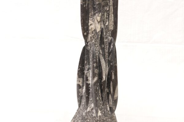 Orthoceras tower - Image 16