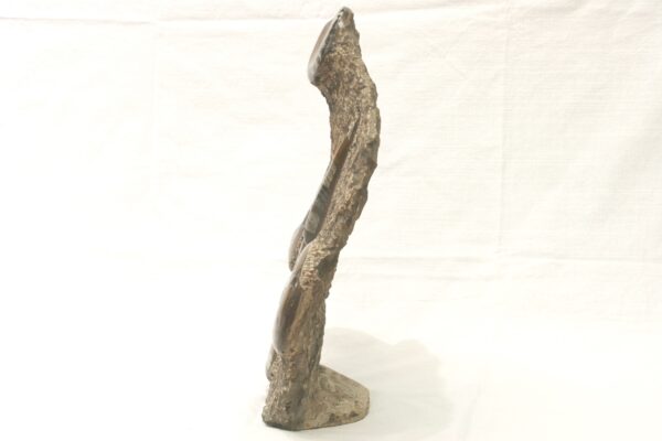 Skulptura orthoceras, goniatit - Image 3