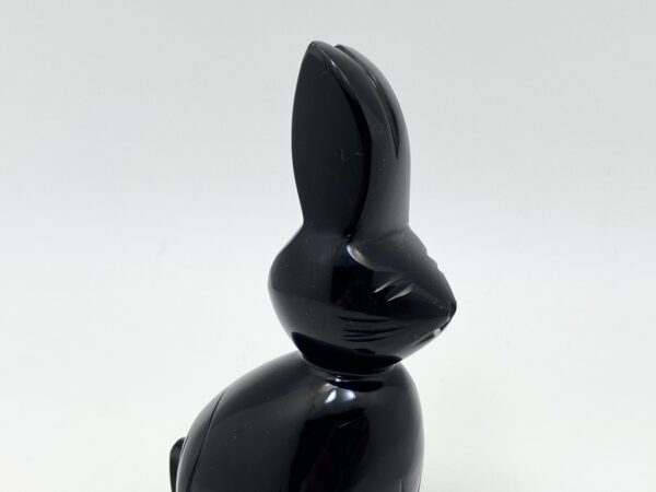 Obsidiánový zajíc - Image 3