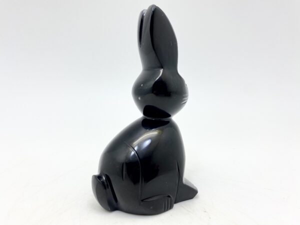 Obsidiánový zajíc - Image 9