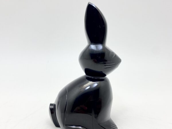 Obsidiánový zajíc - Image 10